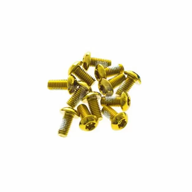 Kit Bremsscheibenschrauben Aro 08 gold (12pz) - image
