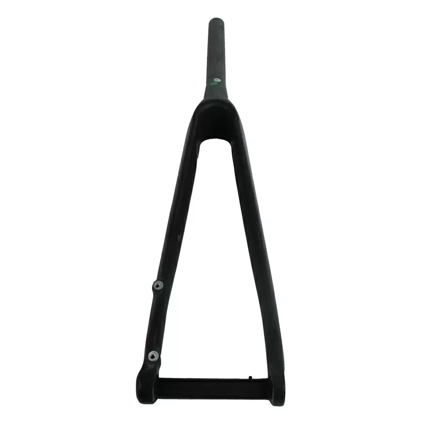 Forcella strada conica 28'' Full Carbon disco flat mount PP15/100 #2