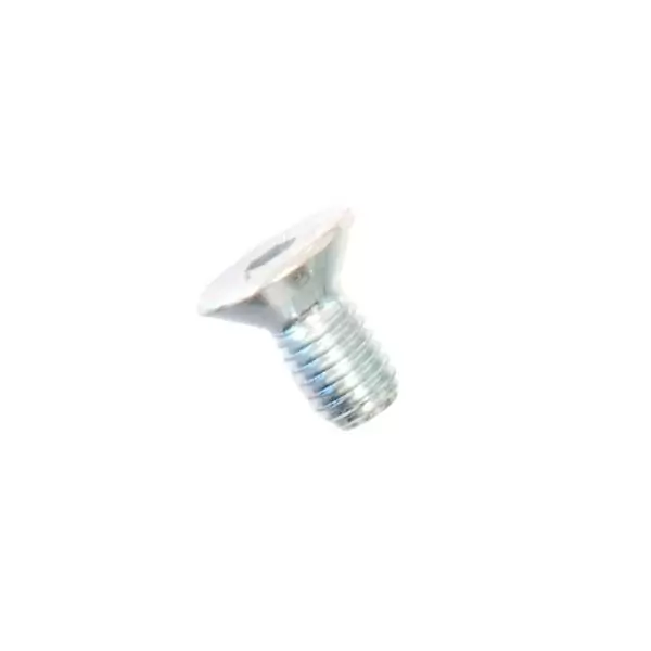 Spare screw for frame plate rear wheel - image