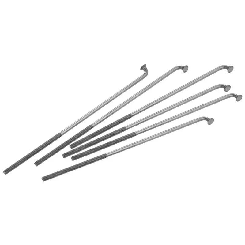 6Pz-Strahlen - image