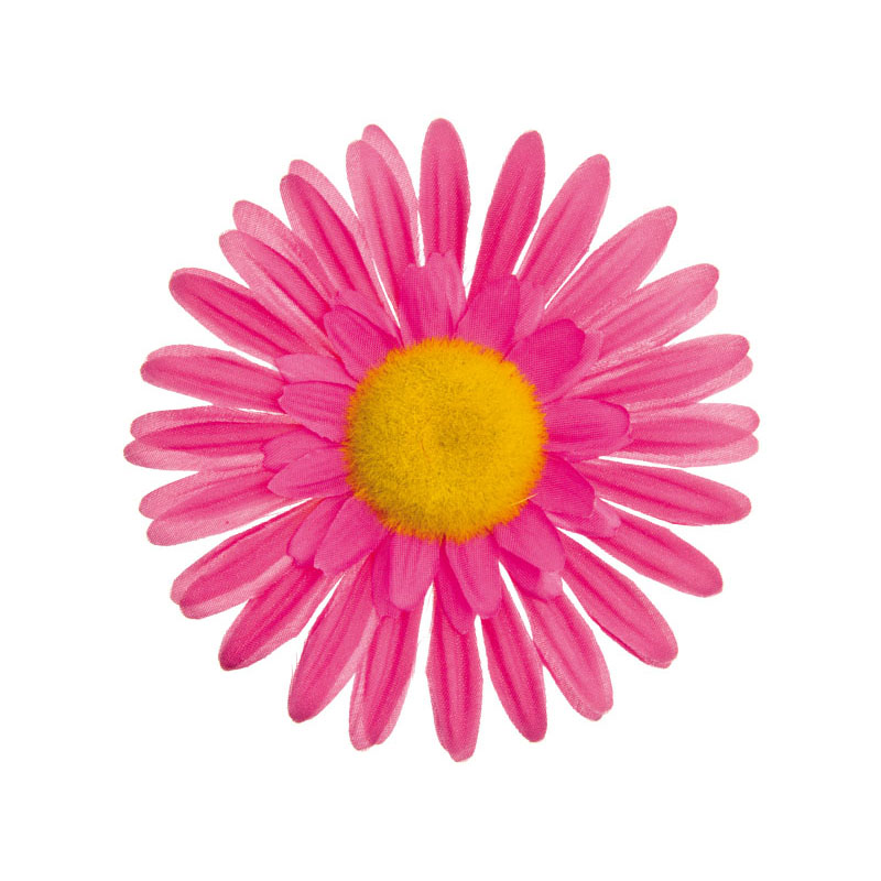 Big pink daisy flower