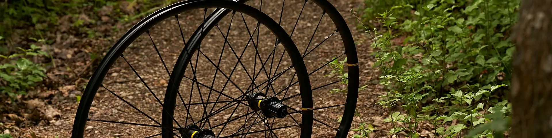 E-bike wheels