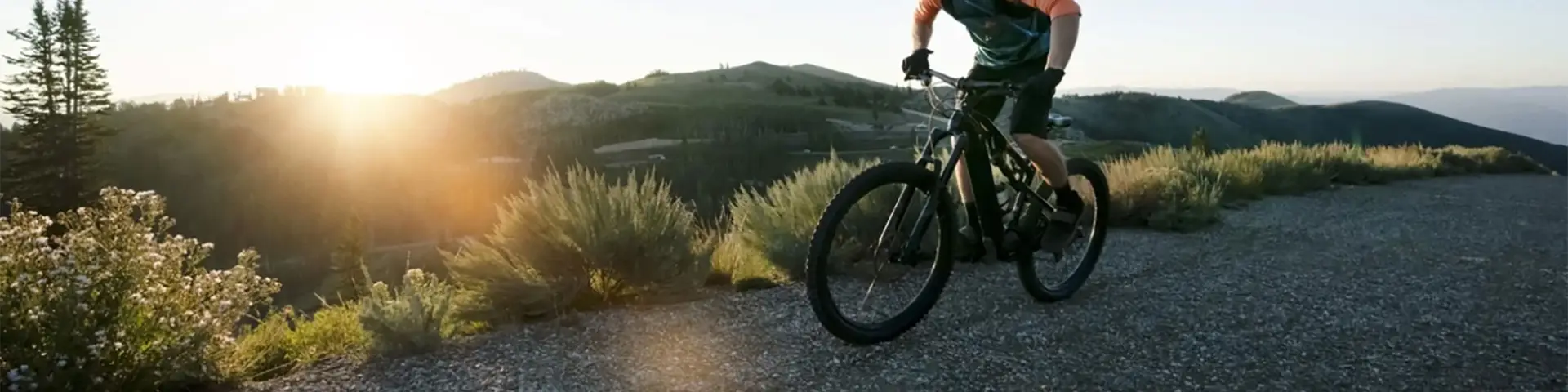 Coppia ruote bici elettrica Reserve