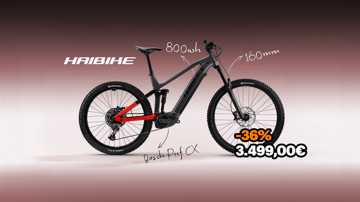 Haibike  Allmtn 4