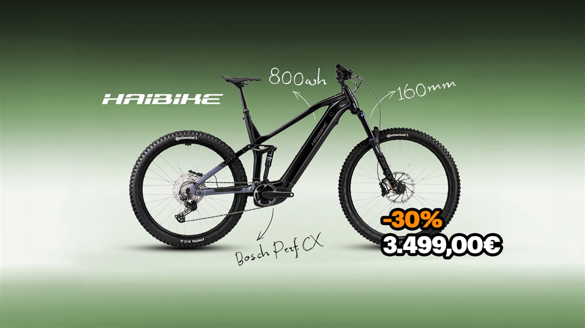 Haibike Allmtn 2