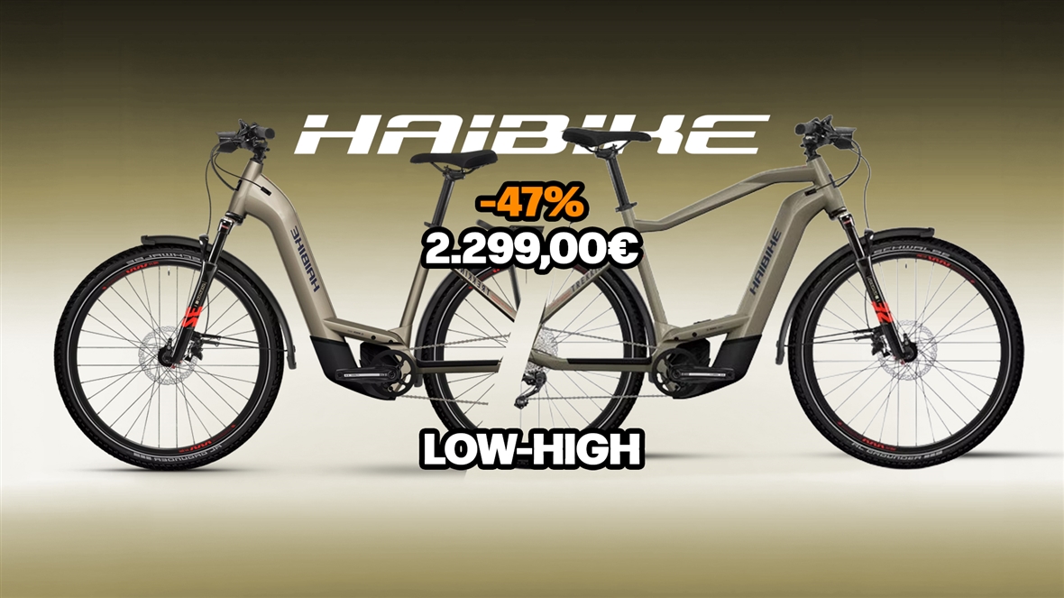 Haibike Trekking 8 Low/High