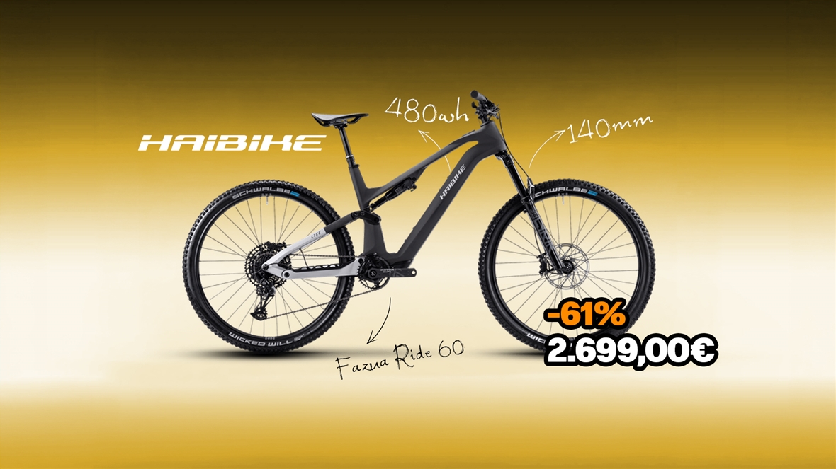 Haibike Lyce CF 10 Advanced