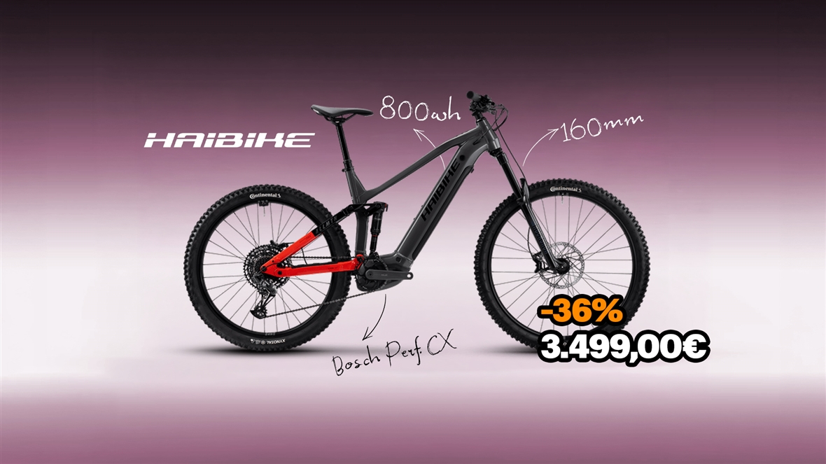 Haibike Allmtn 4