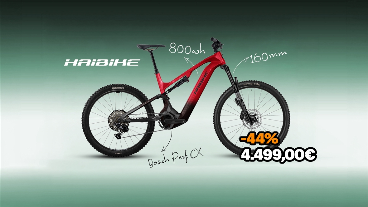 Haibike AllMtn CF 9.5 ABS