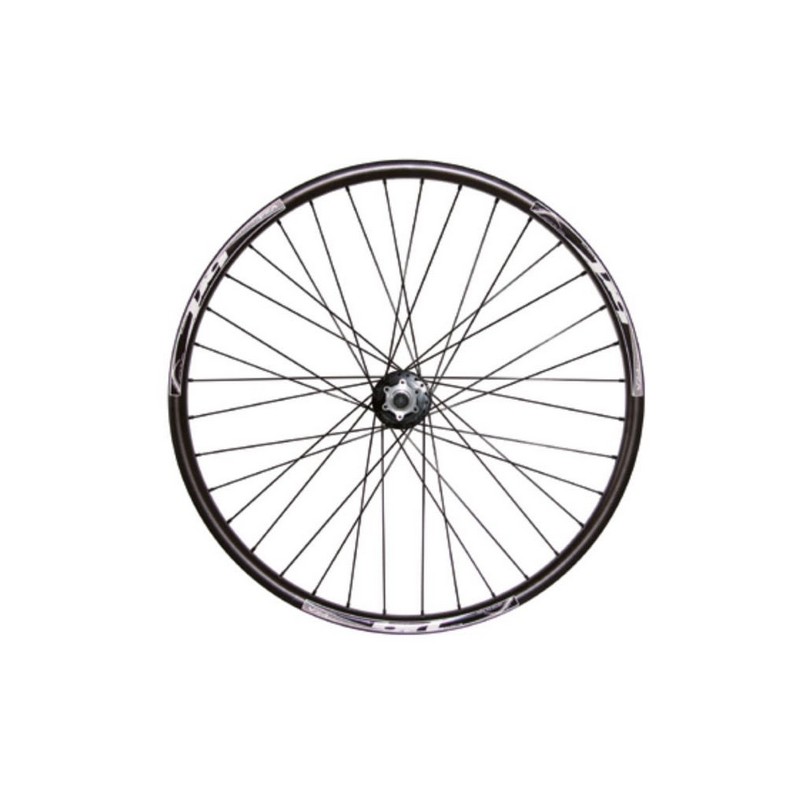 Ruota Anteriore 24'' Disco QR100mm