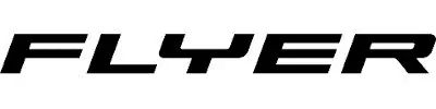 logo FLYER