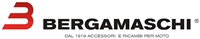 BERGAMASCHI logo
