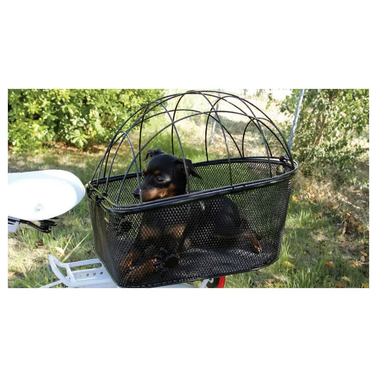 Cesto Puppy Per Trasporto Animali Fissaggio Al Portapacchi #1