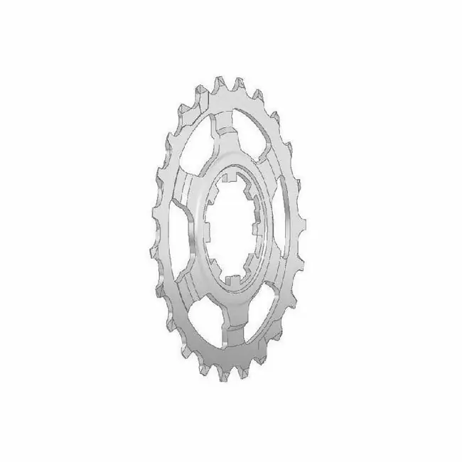 Spare sprocket 30T light last position campagnolo 11 speed - image