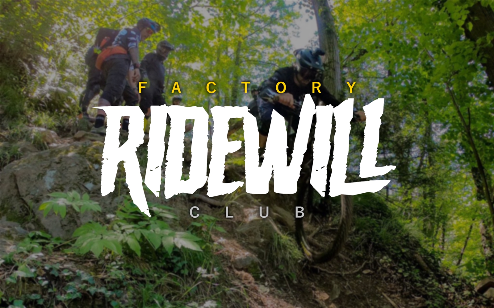 Ridewill Factory Club - Open Day and first dates 2022