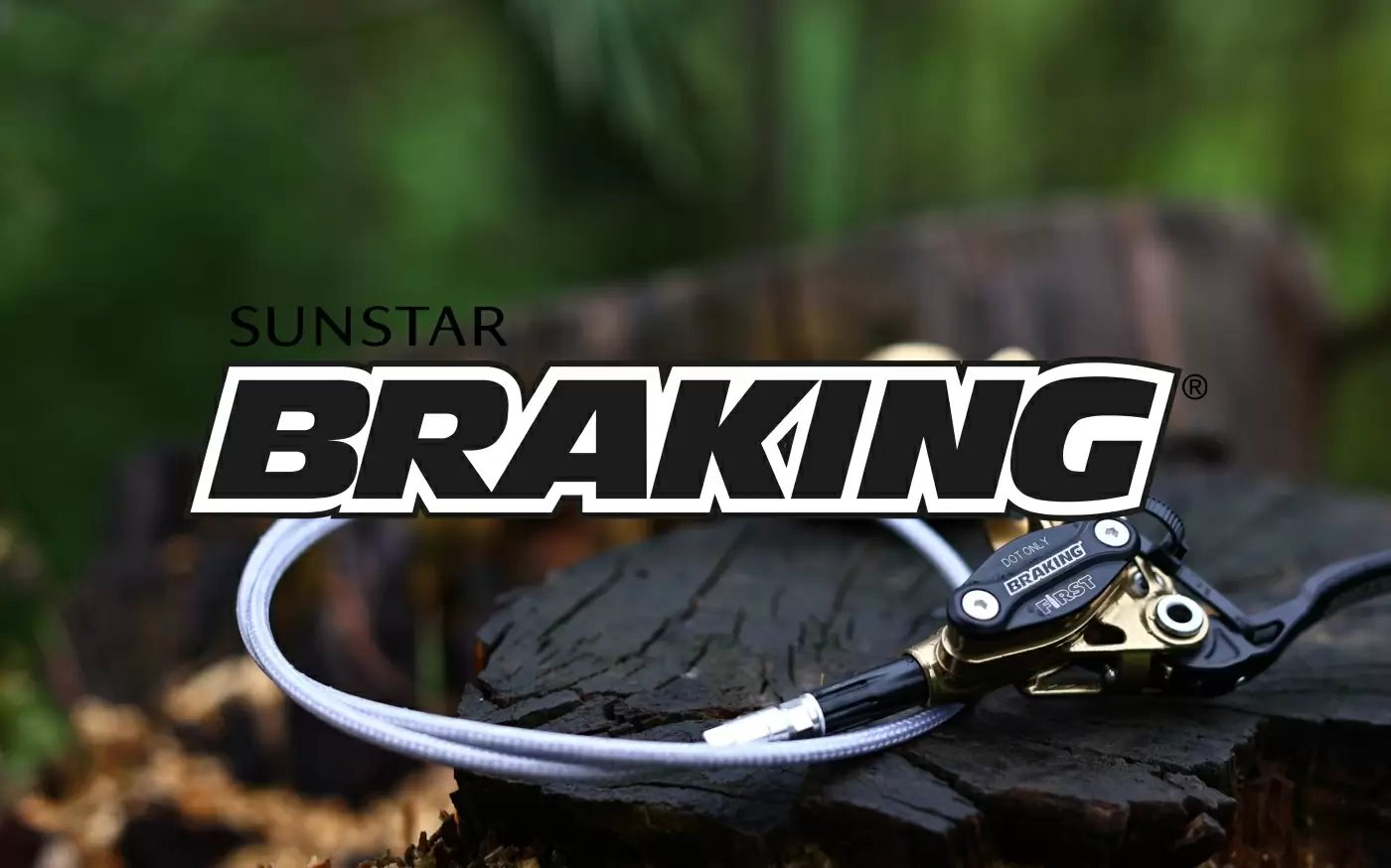 Introducing the new Braking F.I.R.S.T. - image