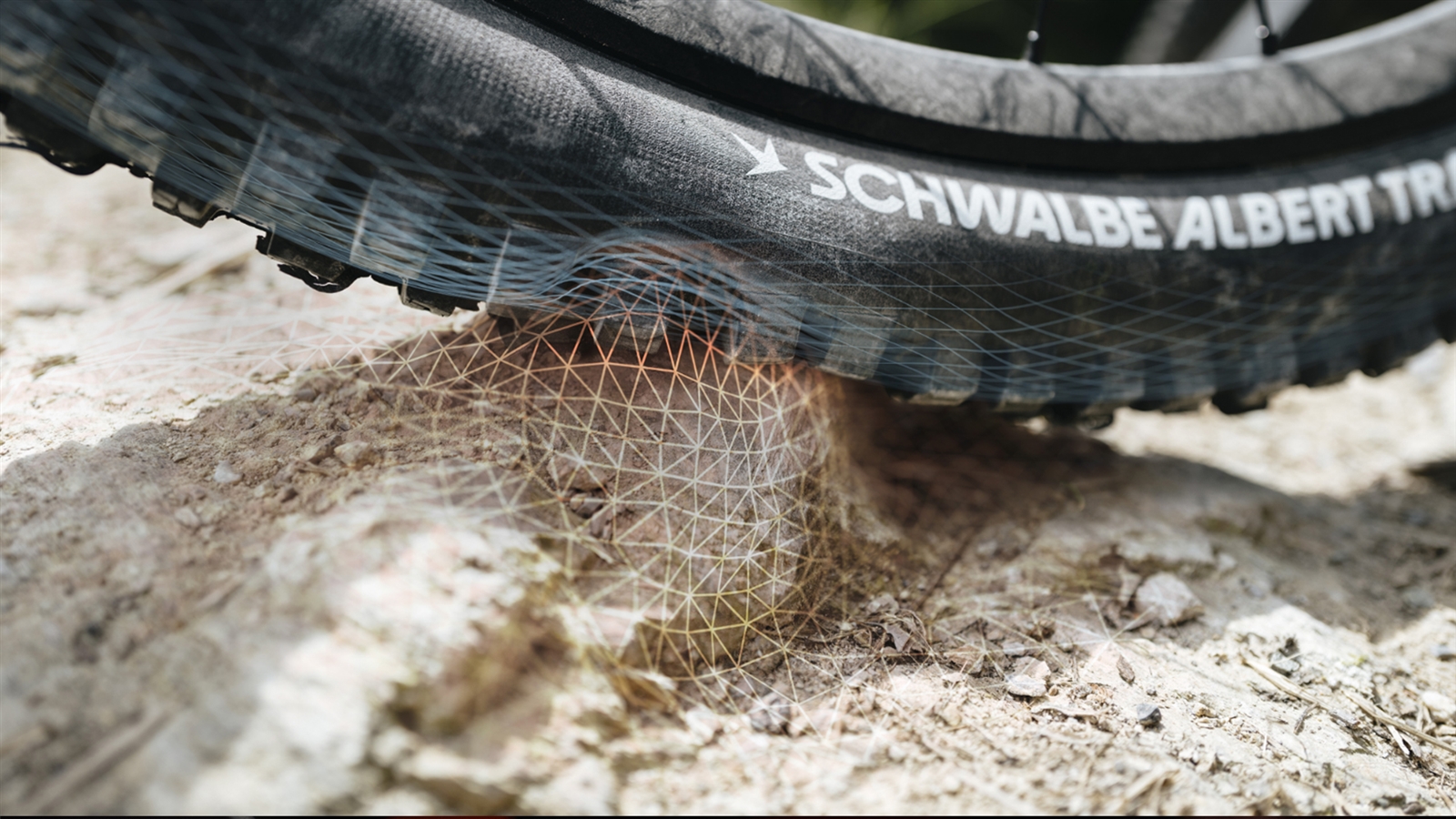 New Albert Schwalbe tyres - Ridewill Magazine