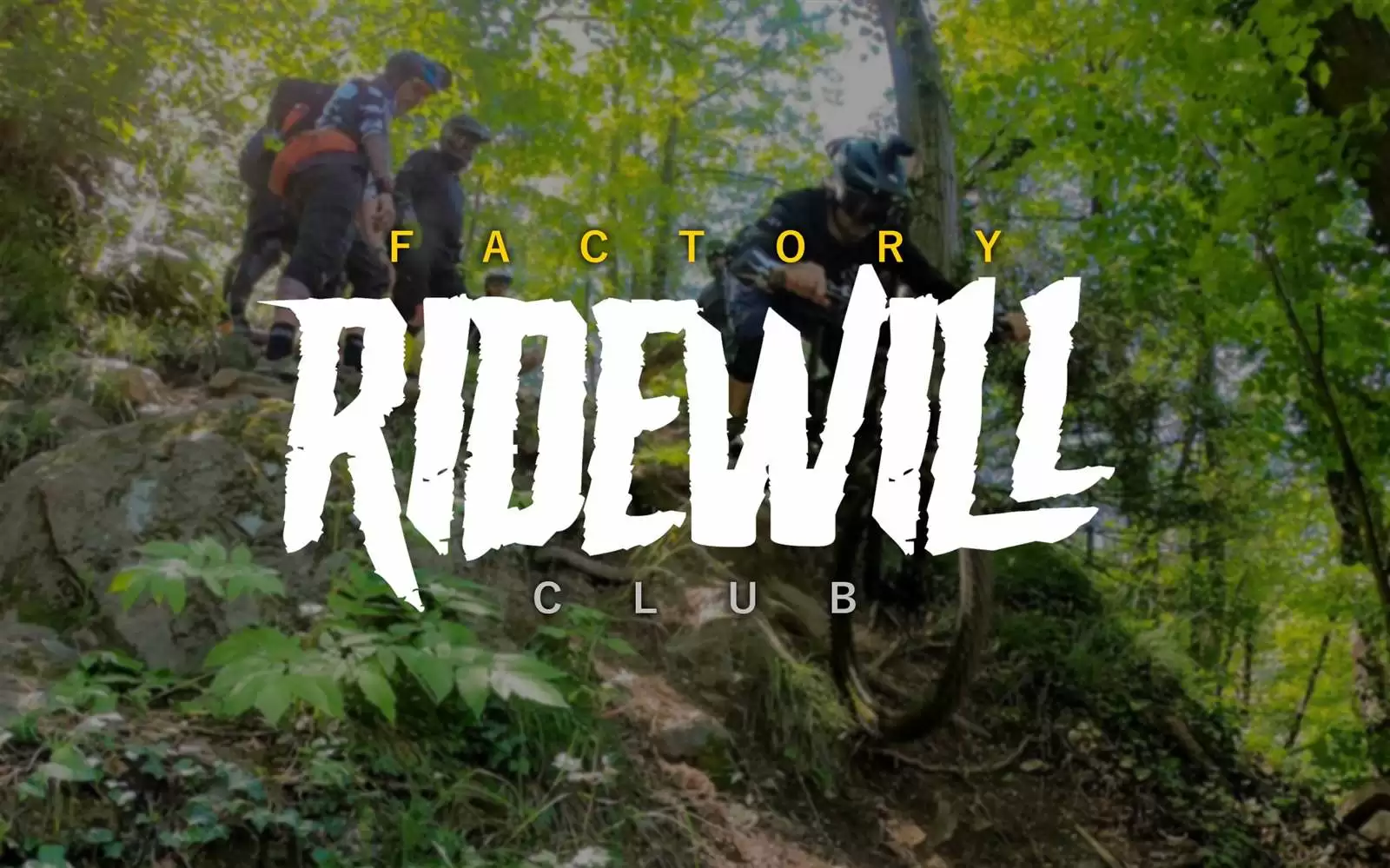 RIDEWILL Factory Club - A great start! - image