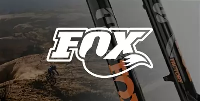 Fox 2022