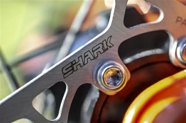 Galfer Bike Shark brake discs www.ridewill.it