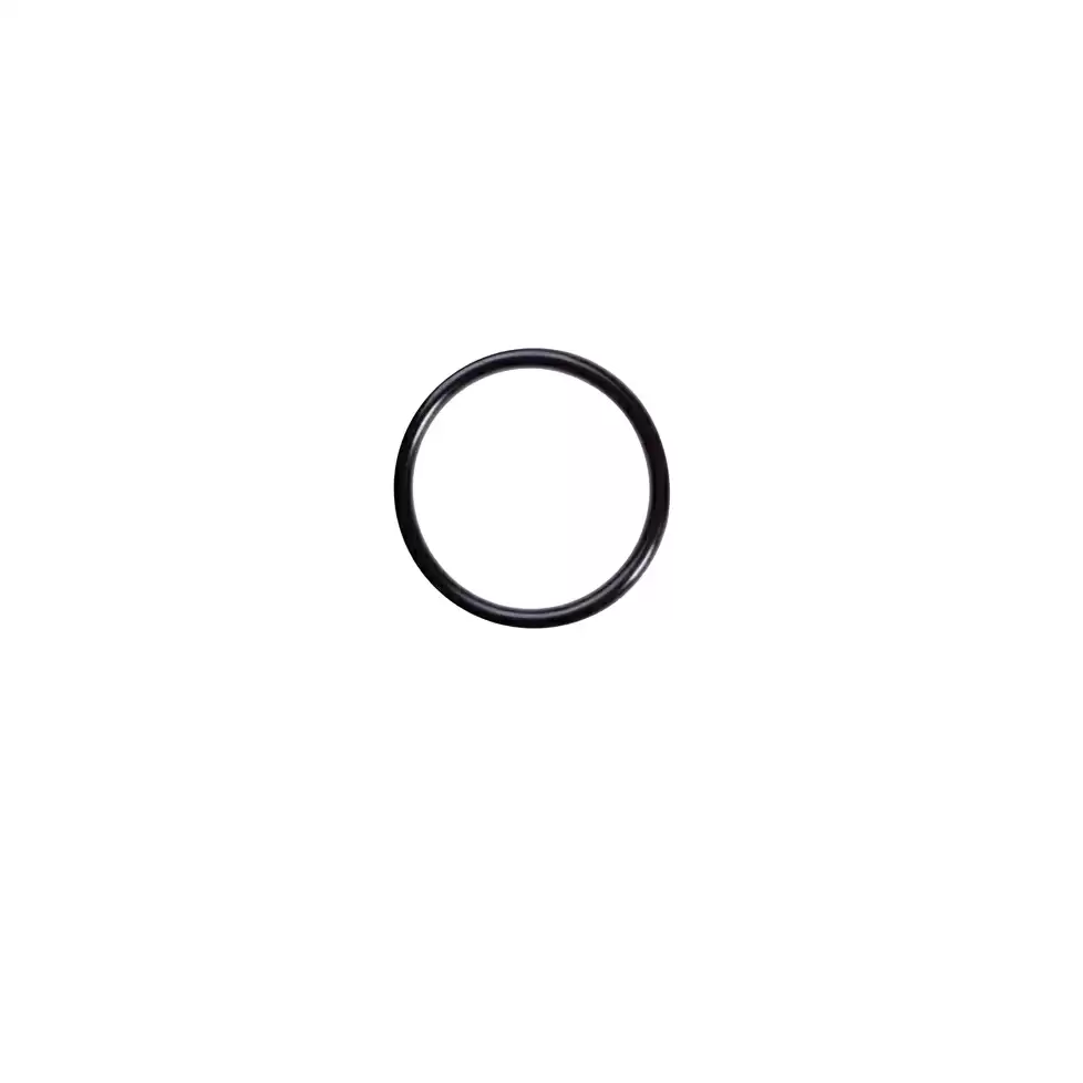 O-ring fork 0.070'' CS x 0.176'' ID - image