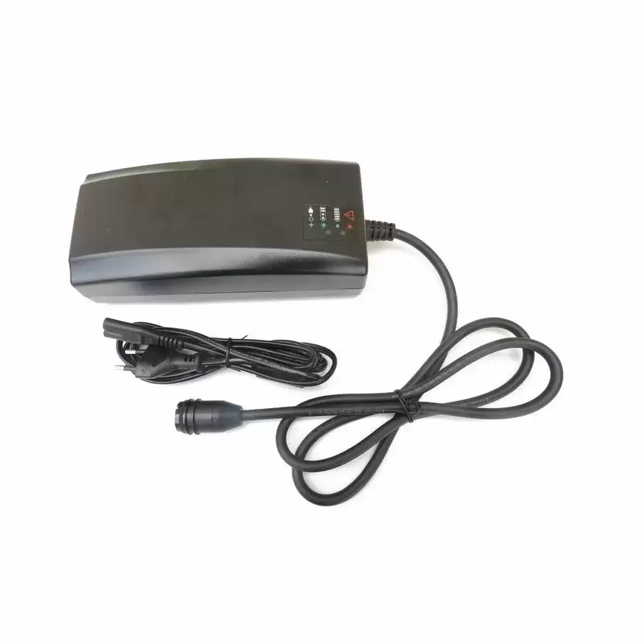 Battery charger BMZ 36v 4A europe network cable - image