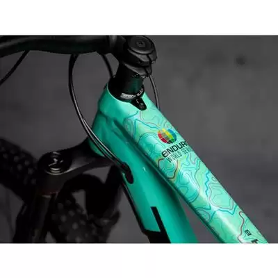 Dyedbro db e rrr adesivi protezione telaio e bike rrr multicolour Ade