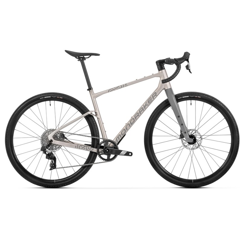 Arid R 28'' 12v Golden Silver 2026 Taglia S
