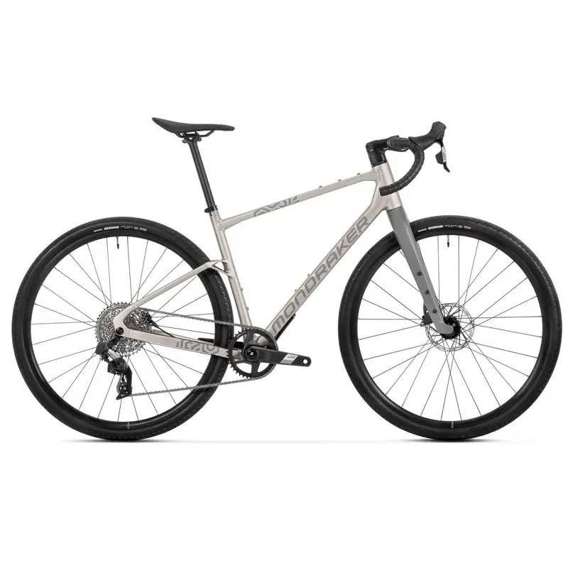Arid R 28'' 12v Golden Silver 2026 Taglia S - image