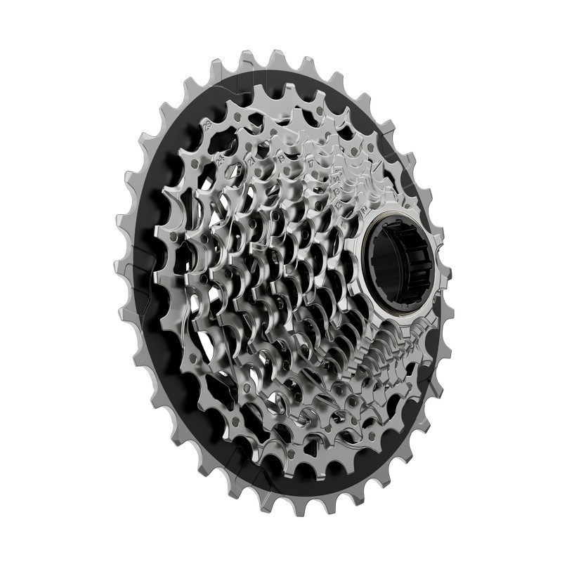Force Pignoni Box XG-1270 E1 XDR 12V 10-33D