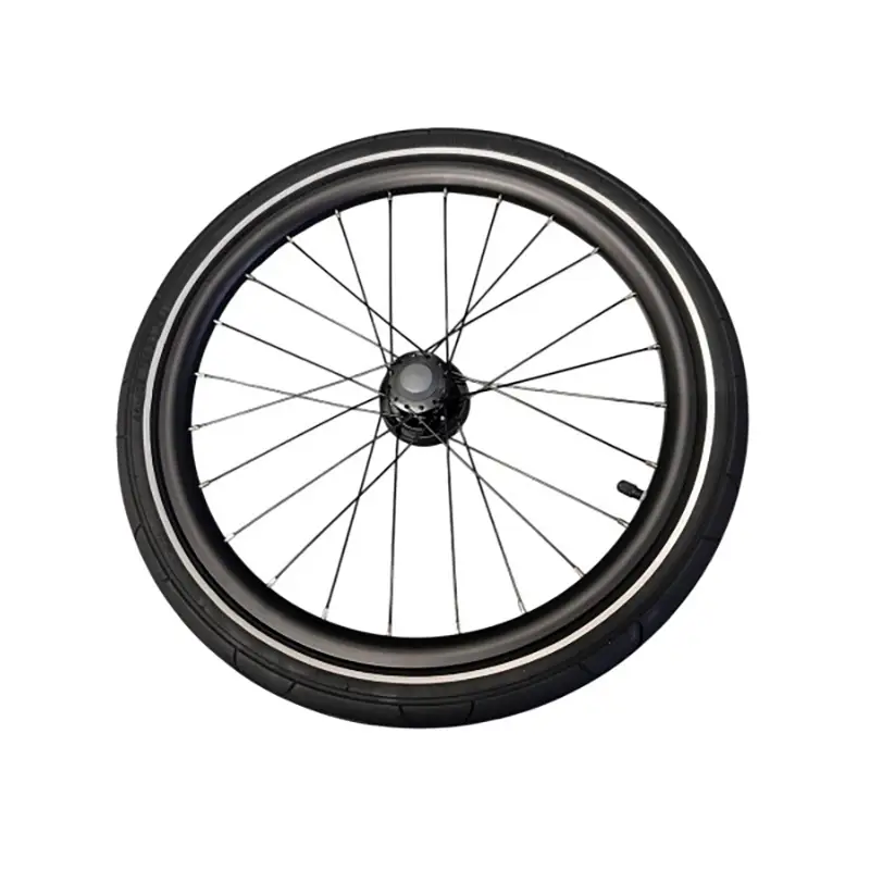 Hinterrad für Chariot Sport 2 20'' 24 Speichen mit Scheibenbremse #1
