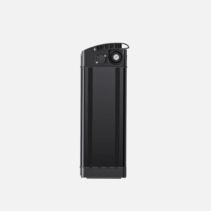 Batterie pour T14 48 V 10 Ah