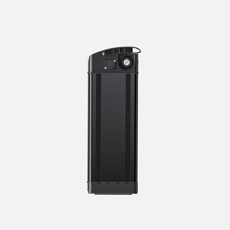 Batterie pour T14 48 V 10 Ah - image