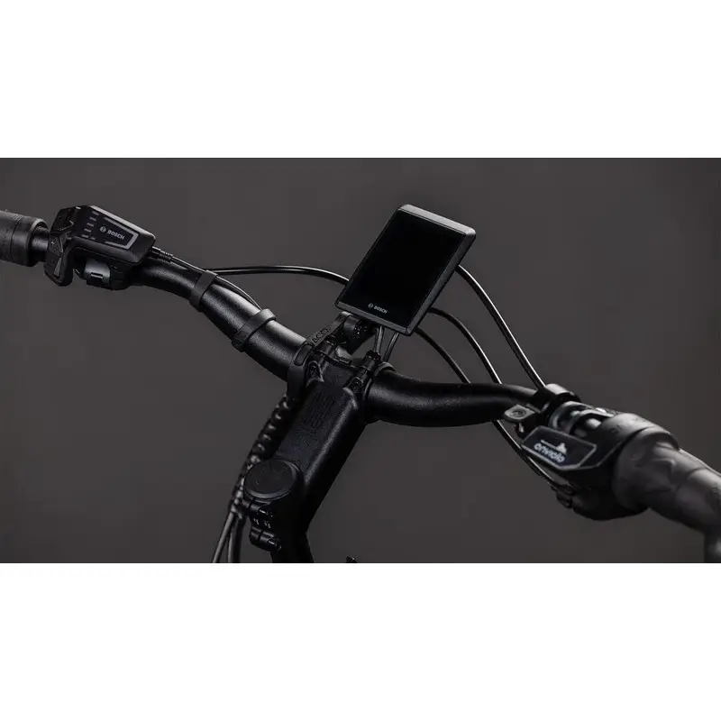 Longtail Hybrid Comfort 26'' 1v 800Wh Bosch Cargo Line Mineralgrey'n'Reflex 2026 #2