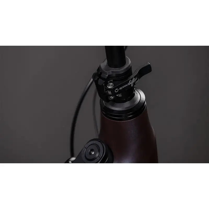 Longtail Hybrid Comfort 26'' 1v 800Wh Bosch Cargo Line Mineralgrey'n'Reflex 2026 #3