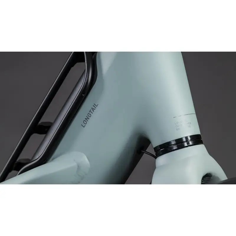 Famille de confort hybride Longtail 26 '' 1V 800Wh Bosch Cargo Line Haze'n'reflex 2026 #1