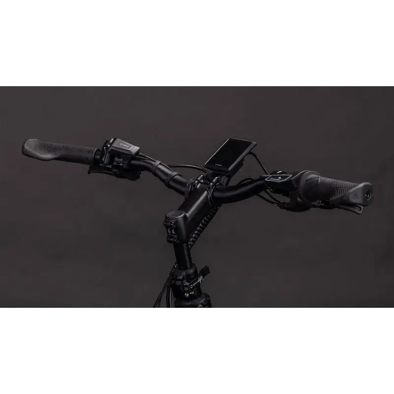 Famille de confort hybride Longtail 26 '' 1V 800Wh Bosch Cargo Line Haze'n'reflex 2026 #2