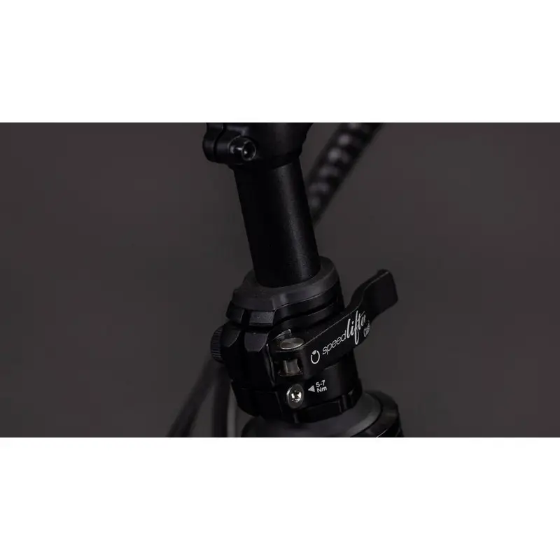 Famille de confort hybride Longtail 26 '' 1V 800Wh Bosch Cargo Line Haze'n'reflex 2026 #3