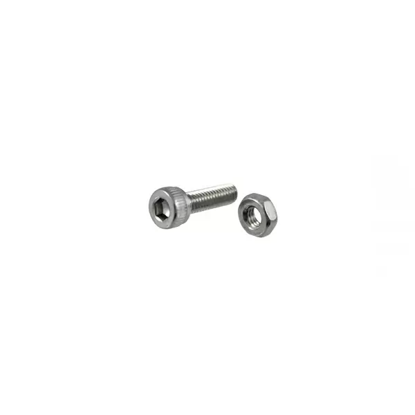 Nuts + SHCS Nylotrax Replacement Pin Silver 1pc - image