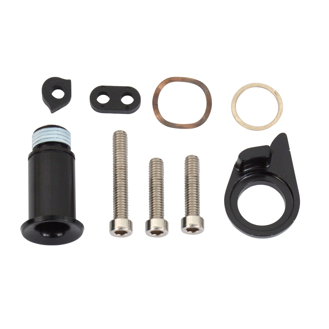 Mounting Screws and Rear Derailleur Attachment Kit GX Eagle 52t