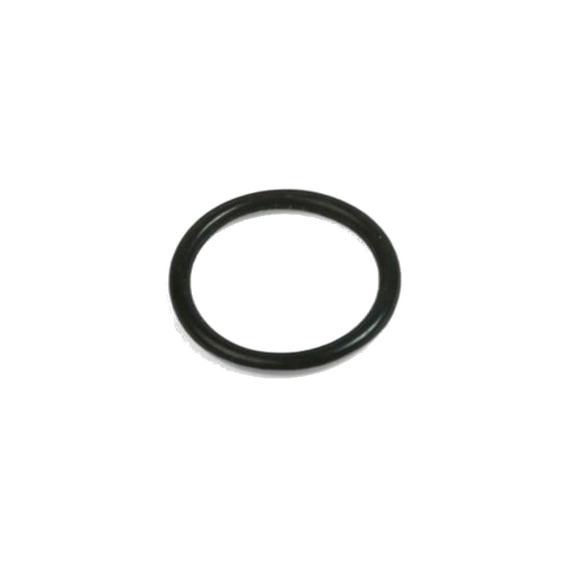 Guarnizione O-Ring per Pinza Freno M4 Large / E4 / V4 Small 1pz