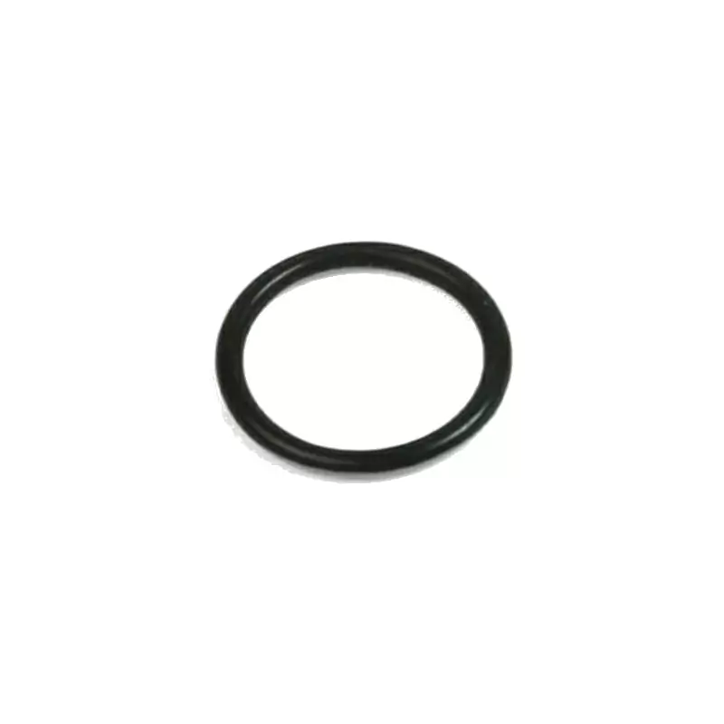 O-ring para pinça de freio M4 grande / E4 / V4 pequeno 1 peça - image
