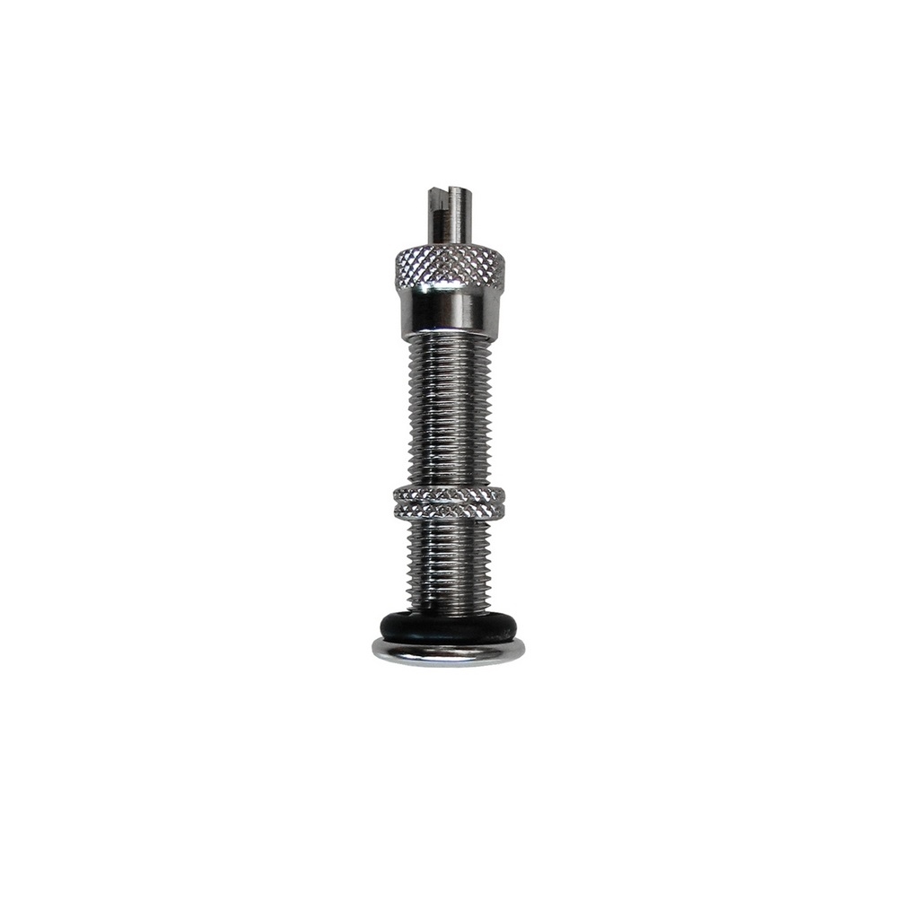 Tubeless spare part America valve with remover