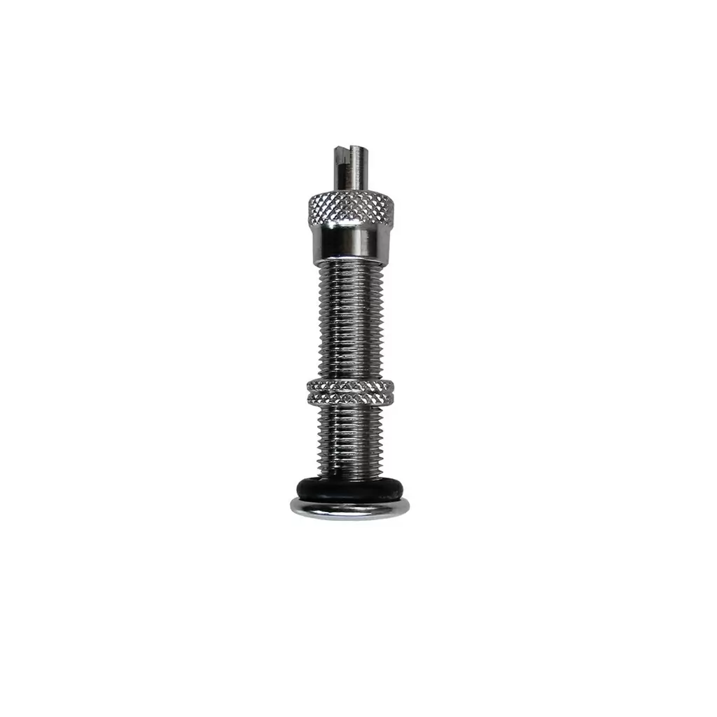 Tubeless spare part America valve with remover - image