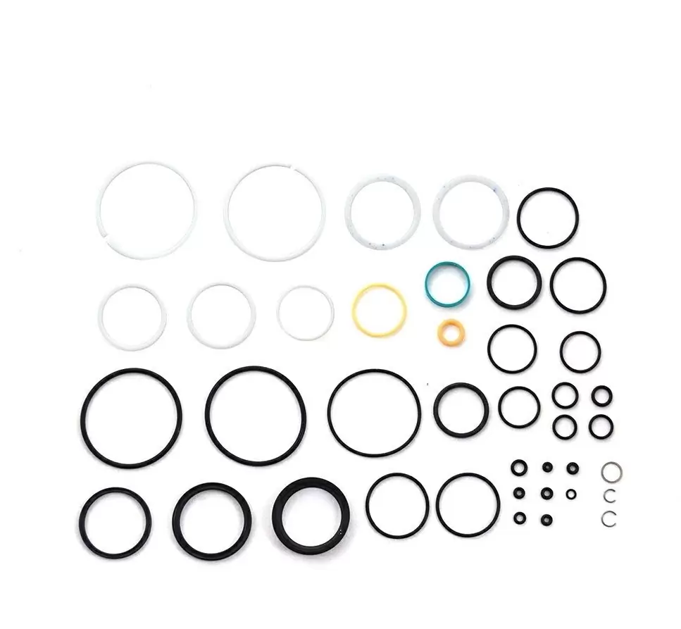 Gasket kit for Float X2 year 2021-2023 - image