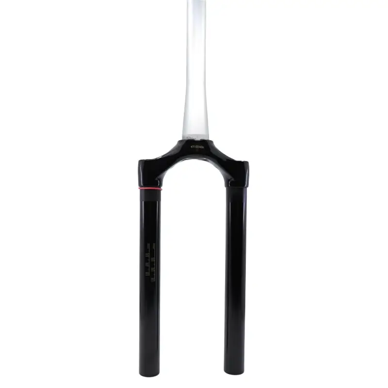 Tubo Verticale Forcella + Ponte CSU Reba (2020+) A1+ Solo Air 80-100mm 40 Offsetet Nero Lucido - image