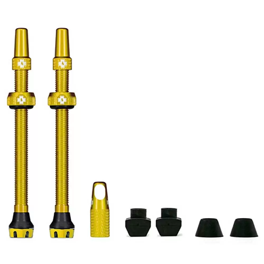 Tubeless alloy valve set  Presta 80mm Gold - image
