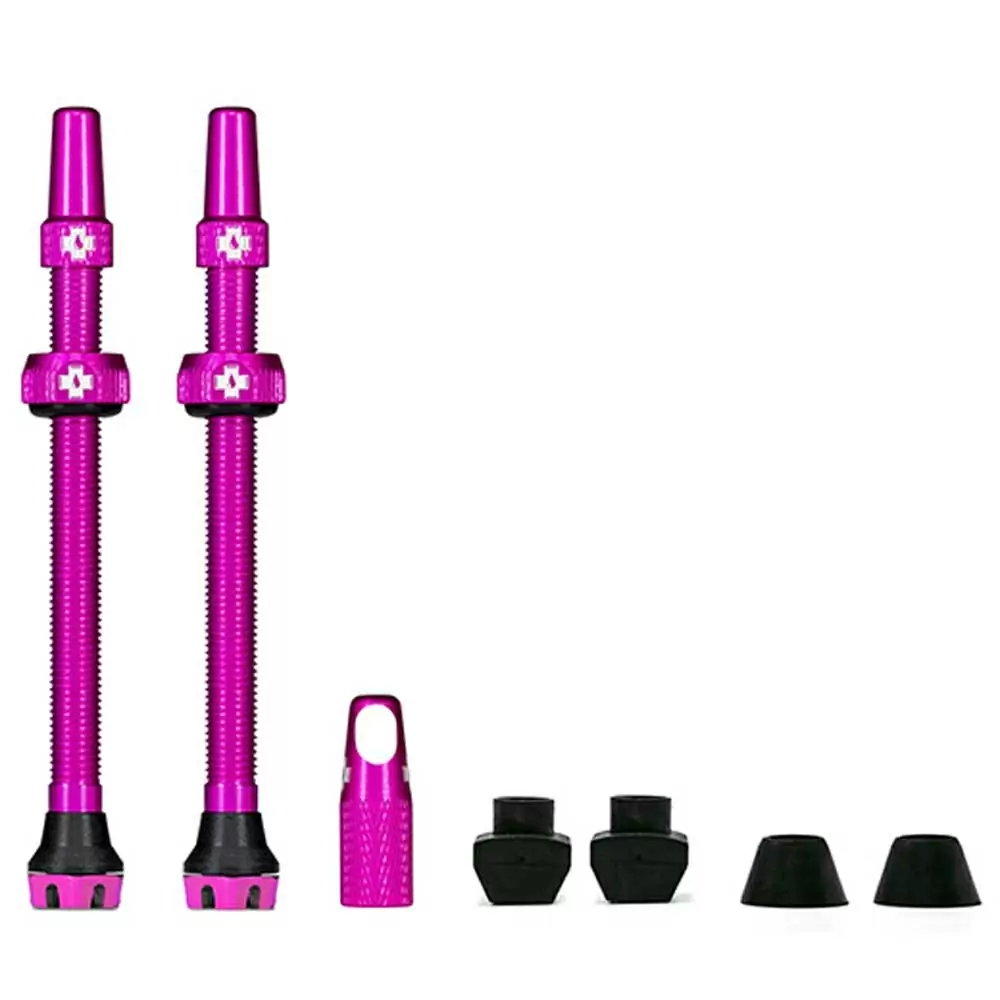 Tubeless alloy valve set  Presta 80mm Pink - image