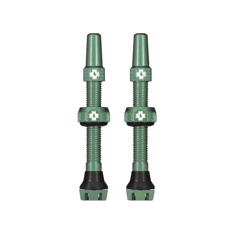 Tubeless alloy valve set  Presta 60mm Turquoise