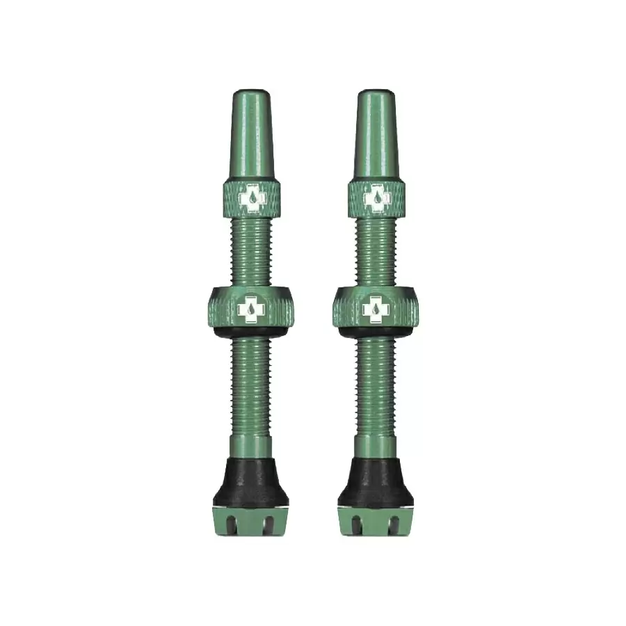 Tubeless alloy valve set  Presta 44mm Turquoise - image